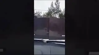 Открывание ворот с помощью Алисы