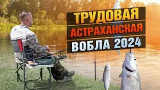 Где Вобла?! Рыбалка в Астраханской области 2024