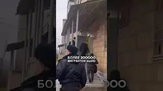 Как много мигрантов выдворили за последние годы?