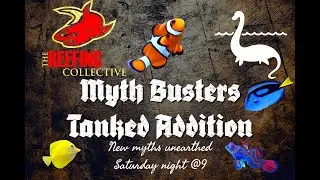 (Myth Busters Tanked Addition ) With The Reefing Collective