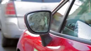 Auto-moto-école Richemont, à Chelles.