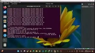 SSH