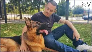A Day With A German Shepherd Puppy | NerdVlog