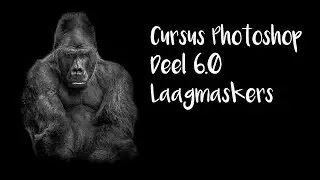 Cursus Photoshop 6.0 Laagmaskers