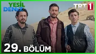 29. Bölüm “Cemilödingerin Kedisi