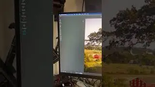How make bumper labels appear and disappear in ON1 