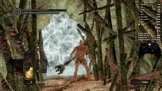 AFK Nito DSR NWW (whole Section)