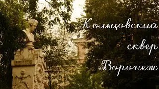 Какие дубы растут в Кольцовском сквере?