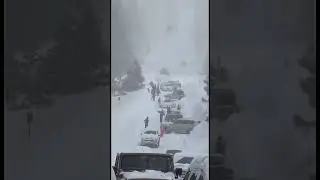 When you are the best! Snowfall in California USA 2023