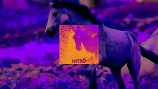 Meeca - N1tro