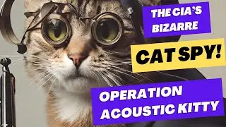 CIA's Bizarre Cat Spy: Operation Acoustic Kitty