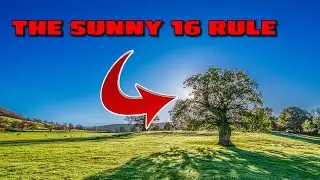 The Sunny 16 Rule - Photography Tips
