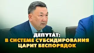 Депутат в системе субсидирования царит беспорядок