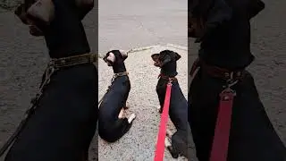 Что мне снег, что мне зной, что мне дождик проливной, когда мои друзья со мной)))😁😁😁