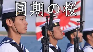 Japanese March: 同期の桜 - Fellow Cherry Blossoms