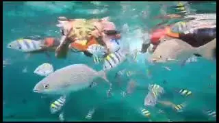 Berenang denga Ikan _ Aceh..
