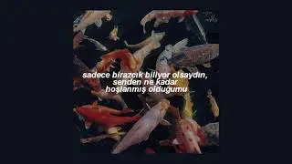 conan gray - heather (türkçe çeviri)