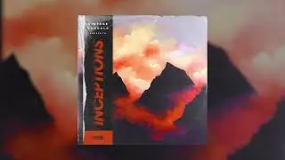 The Vintage Vxndals - Inceptions Full Preview
