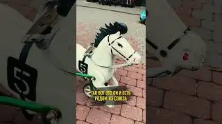 Конь педальный - что это?