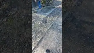 Колокола