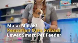 Hati - Hati Pencurian Data Pribadi Lewat Smart Pet Feeder! - Berita Teknologi