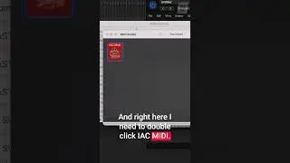 Recording MIDI from an instrument track on a new MIDI track? 