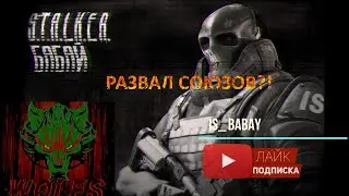 Stay out/Stalker Online .ИНТЕРВЬЮ У ГРУППИРОВКИ WOLFS (eu). РАЗВАЛ СОЮЗОВ ?!