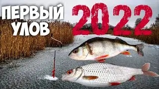 Нашёл место - Плотва Лупит на Каждой проводке!  Открытие сезона 2022 года. Зимняя рыбалка. Мормышка.