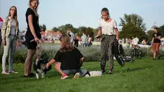 Latające Psy w Wilanowie 2018