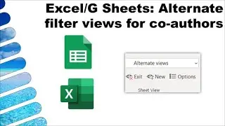 Excel/G-Sheets: Alternate sheet/filter views for simultaneous editors (NEW 2020)
