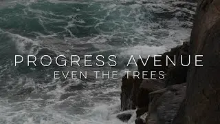 Even the Trees - Progress Avenue [Official Music Video]