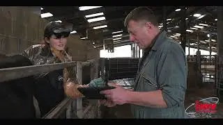 A Vet’s view on BovIntel
