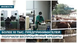 БОЛЕЕ 10 ТЫС. ПРЕДПРИНИМАТЕЛЕЙ ПОЛУЧИЛИ БЕСПРОЦЕНТНЫЕ КРЕДИТЫ