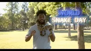 It's World Snake Day!