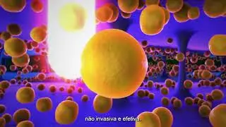 Velaryan  - A Evolução da  Harmonização Corporal