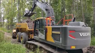 Striking It Rich! Found Some Black Gold In The Woods!