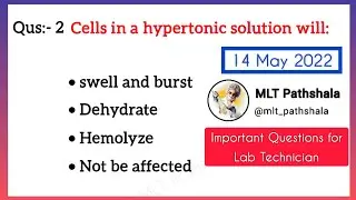 Lab Technician MCQs:- 26 🎯 MLT Course MCQs 🔬 Lab Technician Vaccancy 💉 AIIMS DSSSB 🔥 MLT Pathshala