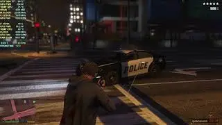 GTA V (GTX 1080 Ti)