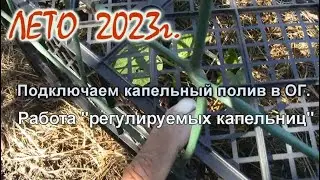 ЛЕТО. Работа поливных систем. (продолжение).