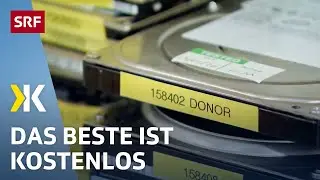 Backup- & Datenrettungsprogramme im Test: Das beste Programm ist gratis | 2021 | Kassensturz | SRF
