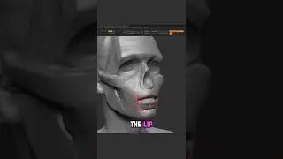Last Day To Join My Anatomy Course... 