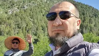 Jonli Efir