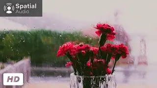 1.5 Hours of Soothing Rain Sounds for Relaxation and Sleep with high quality 8D Audio Spatial Sound