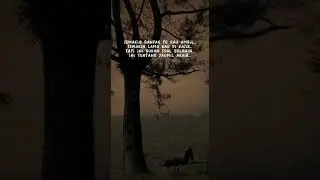 QOUTES RENUNGAN - KATA KATA RENUNGAN - MOTIVASI