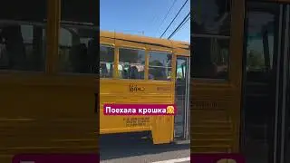 Школьный автобус 🚌 #жизньвсша