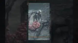 ЛУЧШИЙ БОСС 