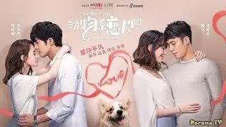 💕Зоология любви💕Animal Type Lovers💕动物系恋人啊💕