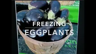 How to freeze Eggplants , Baingan ko freeze kaisay karain (Urdu /Hindi English sub.)