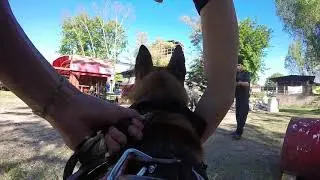 BUSQUEDA EN COLAPSADAS - K9 - GOPRO - LUPO - TRAINING - ACECC ARGENTINA - AÑO 2016 - 1era PERSONA