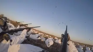 Жестокий ОТСТРЕЛ ЖУРАВЛЕЙ или ЕГЕРЯ достреливают путевки!